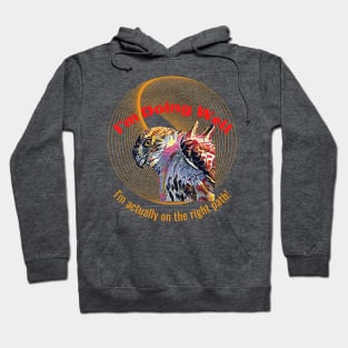 I'm Doing Well, I'm actually on the right path! (Eagle Stare) Hoodie